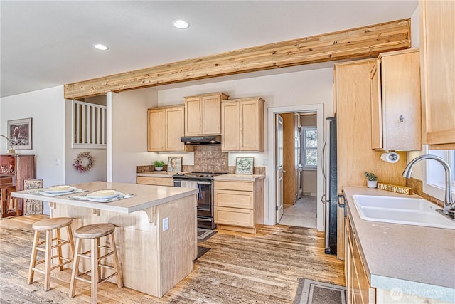 9375 N Fork Rd, Cashmere, WA 98815 - photo 12
