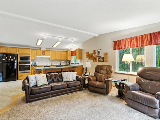 13213 Wicks End Pl SW, Port Orchard, WA 98367 - photo 6