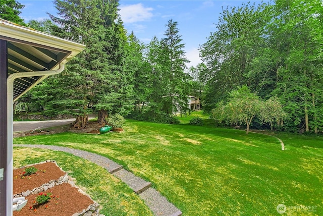 251 NE Mahonia Dr, Belfair, WA 98528 - photo 31