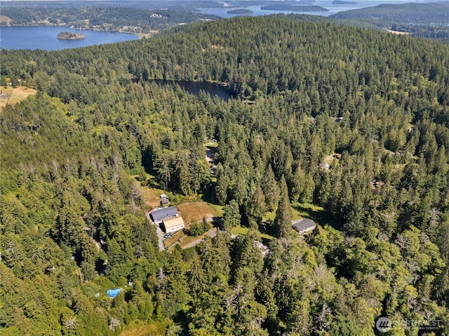 14068 Crater Lake Rd, Anacortes, WA 98221 - aerial overview of property's location featuring a heavily wooded area