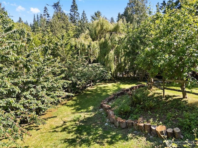 14068 Crater Lake Rd, Anacortes, WA 98221 - view of green lawn