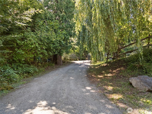 14068 Crater Lake Rd, Anacortes, WA 98221 - view of road with a forest view