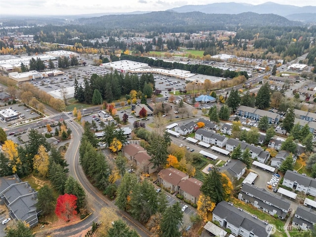 303 Kenyon St NW Unit 2D, Olympia, WA 98502 - aerial overview of property's location with mountains