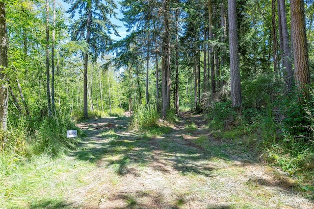 659 E Sleeper Rd, Oak Harbor, WA 98277 - photo 10
