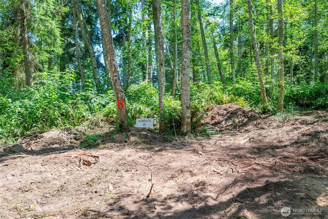 659 E Sleeper Rd, Oak Harbor, WA 98277 - photo 23