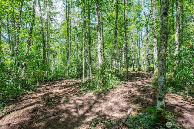 659 E Sleeper Rd, Oak Harbor, WA 98277 - photo 15