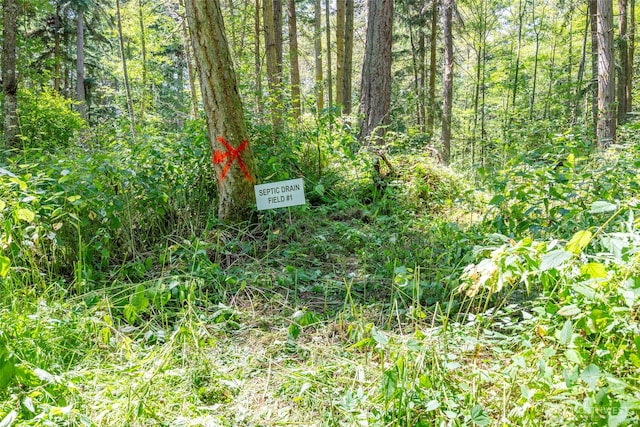 659 E Sleeper Rd, Oak Harbor, WA 98277 - photo 21