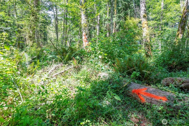 659 E Sleeper Rd, Oak Harbor, WA 98277 - photo 19
