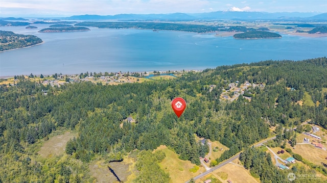 659 E Sleeper Rd, Oak Harbor, WA 98277 - photo 26