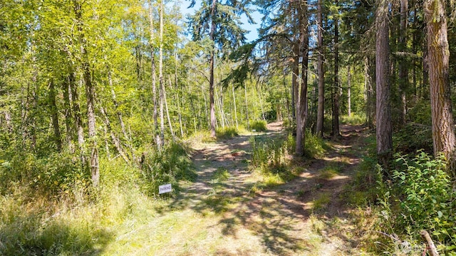 659 E Sleeper Rd, Oak Harbor, WA 98277 - photo 9