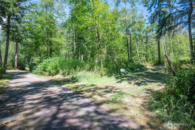 659 E Sleeper Rd, Oak Harbor, WA 98277 - photo 8