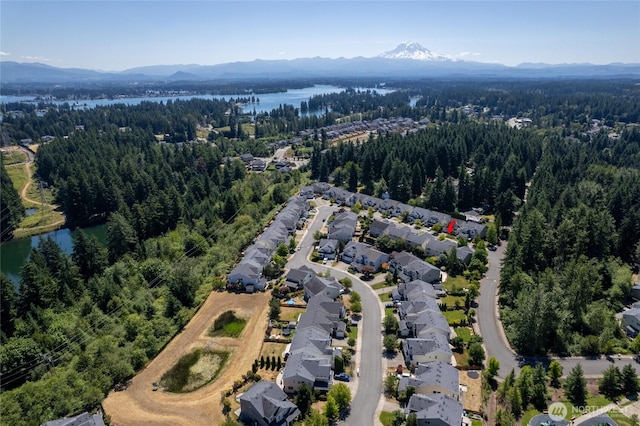 16903 23rd Street Ct E, Lake Tapps, WA 98391 - photo 38