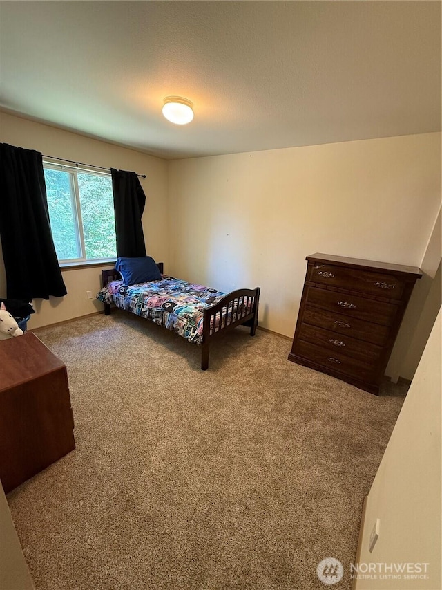 6404 220th Street Ct E, Spanaway, WA 98387 - bedroom featuring carpet
