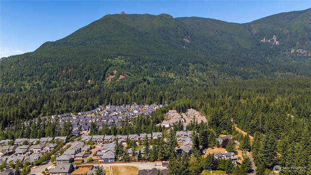 3123 SE 16th St, North Bend, WA 98045 - photo 40