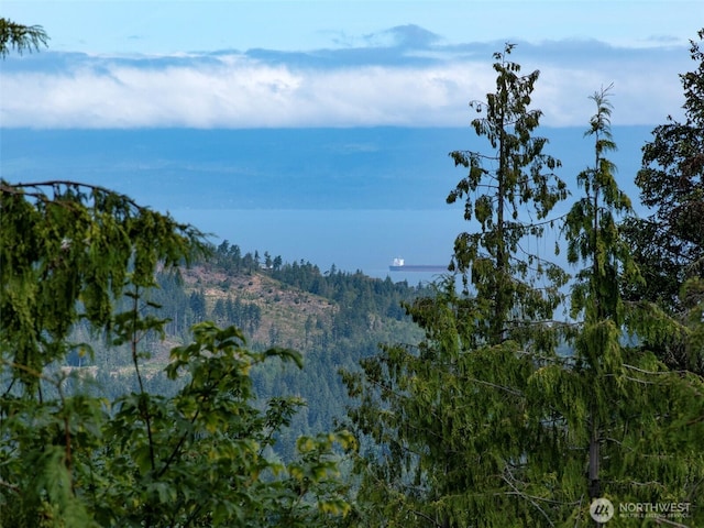 262 Break View Rd, Port Angeles, WA 98363