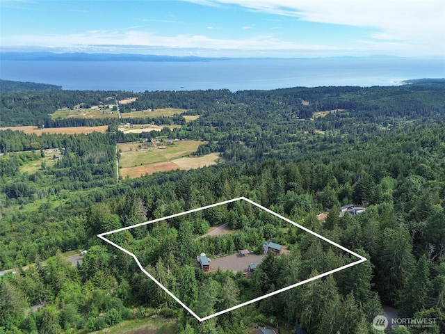 262 Break View Rd, Port Angeles, WA 98363