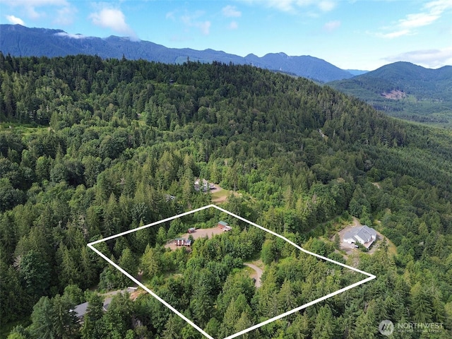 262 Break View Rd, Port Angeles, WA 98363