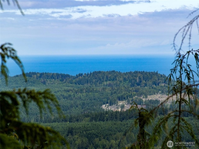 262 Break View Rd, Port Angeles, WA 98363