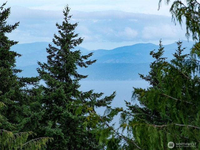 262 Break View Rd, Port Angeles, WA 98363