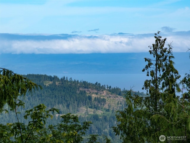 262 Break View Rd, Port Angeles, WA 98363