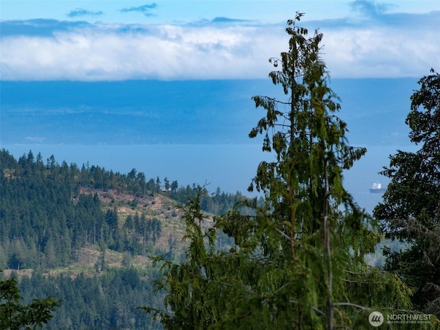 262 Break View Rd, Port Angeles, WA 98363