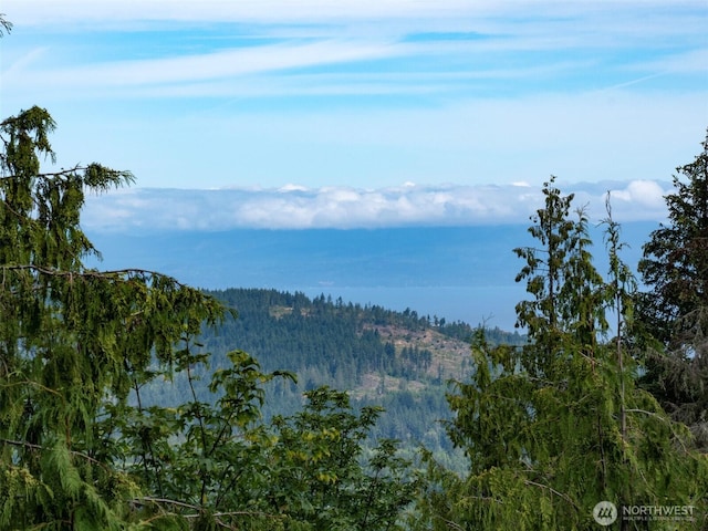 262 Break View Rd, Port Angeles, WA 98363
