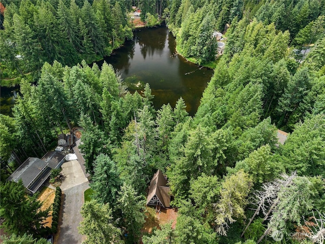 22305 Autumnwood Ct SE, Yelm, WA 98597 - aerial view of property and surrounding area featuring a nearby body of water and a forest