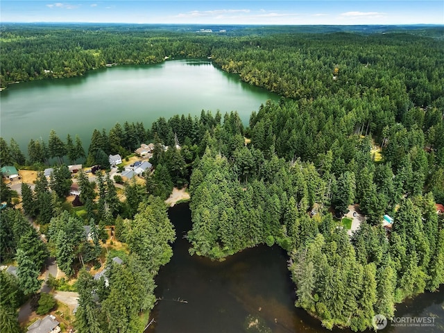 22305 Autumnwood Ct SE, Yelm, WA 98597 - aerial overview of property's location featuring a heavily wooded area and a large body of water