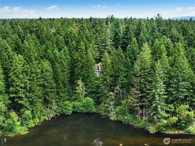 22305 Autumnwood Ct SE, Yelm, WA 98597 - drone / aerial view of a forest