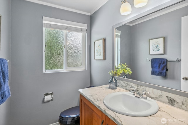 1023 144th Pl SE, Bellevue, WA 98007 - bathroom featuring vanity and ornamental molding