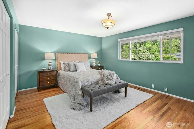 1023 144th Pl SE, Bellevue, WA 98007 - bedroom with wood finished floors and a closet