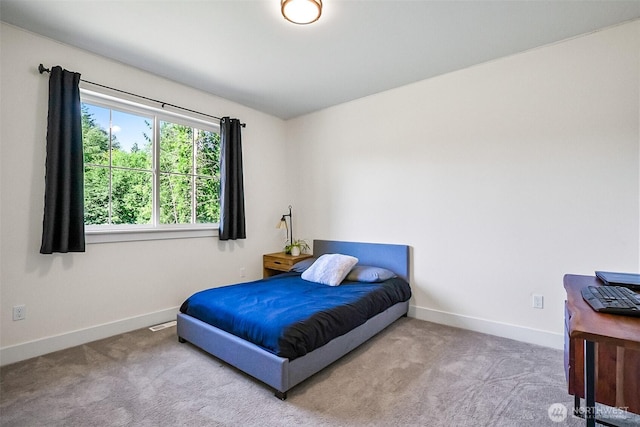 13426 108th St NE, Lake Stevens, WA 98258 - bedroom with carpet floors