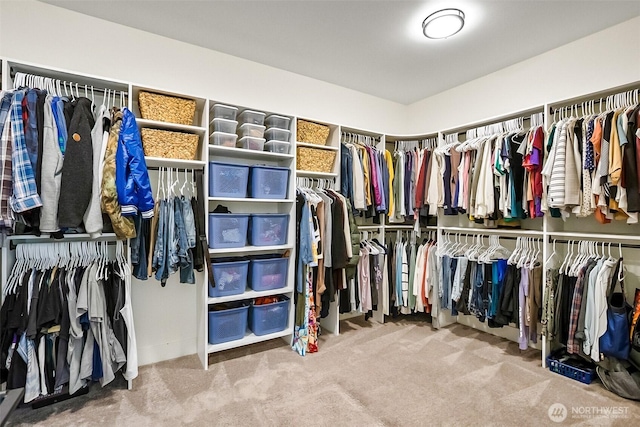 13426 108th St NE, Lake Stevens, WA 98258 - spacious closet with carpet flooring
