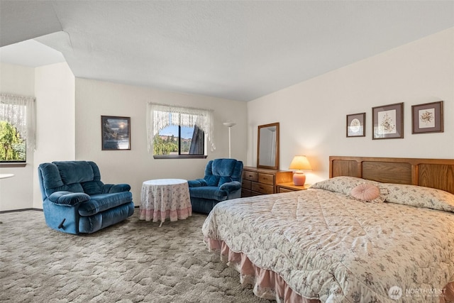 110 Icicle Unit K, Leavenworth, WA 98826 - view of carpeted bedroom