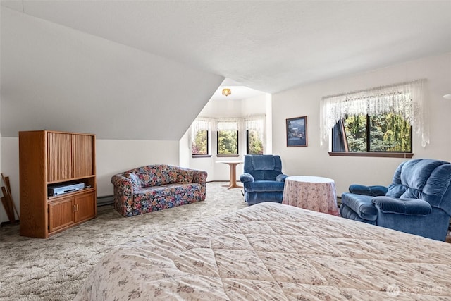 110 Icicle Unit K, Leavenworth, WA 98826 - carpeted bedroom with vaulted ceiling and a baseboard heating unit