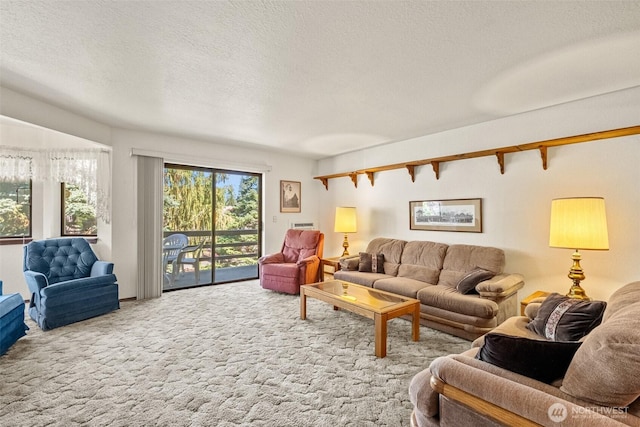 110 Icicle Unit K, Leavenworth, WA 98826 - living area featuring carpet and a textured ceiling