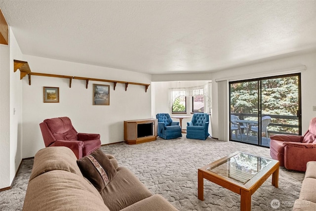 110 Icicle Unit K, Leavenworth, WA 98826 - carpeted living room featuring a textured ceiling and baseboards