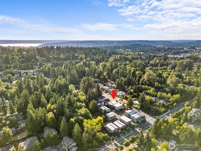 9909 123rd Ln NE, Kirkland, WA 98033 - bird's eye view of a forest