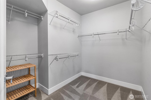 9909 123rd Ln NE, Kirkland, WA 98033 - walk in closet featuring carpet floors