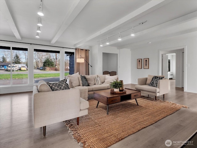 5041 Guide Meridian, Bellingham, WA 98226 - living area featuring rail lighting, beam ceiling, and wood finished floors