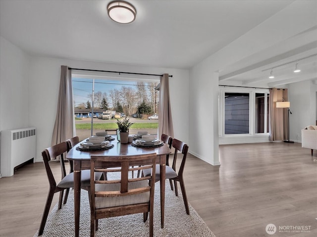 5041 Guide Meridian, Bellingham, WA 98226 - dining area featuring radiator heating unit, light wood-style flooring, and track lighting