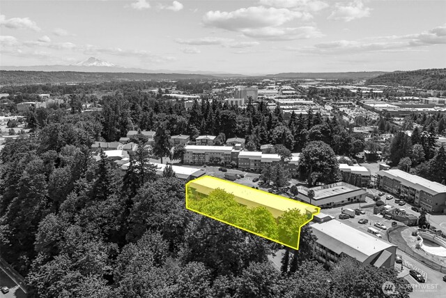 15152 65th Ave S Unit 818, Tukwila, WA 98188 - aerial overview of property's location with property parcel outlined and a mountain backdrop