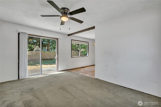 4239 S 184th Pl, Seatac, WA 98188 - empty room with carpet floors and ceiling fan