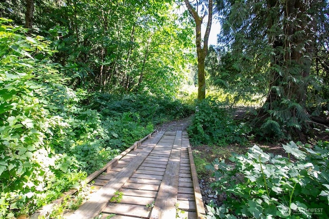 3915 Gilmore Rd, Everson, WA 98247 - view of yard
