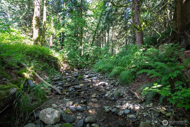 3915 Gilmore Rd, Everson, WA 98247 - view of tree filled area
