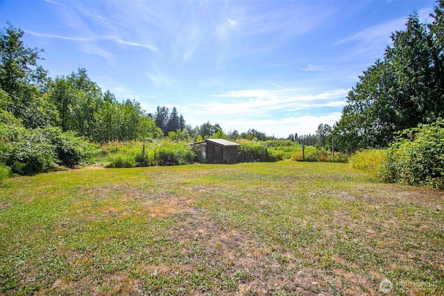 3915 Gilmore Rd, Everson, WA 98247 - view of grassy yard