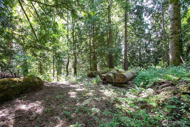 3915 Gilmore Rd, Everson, WA 98247 - view of woods
