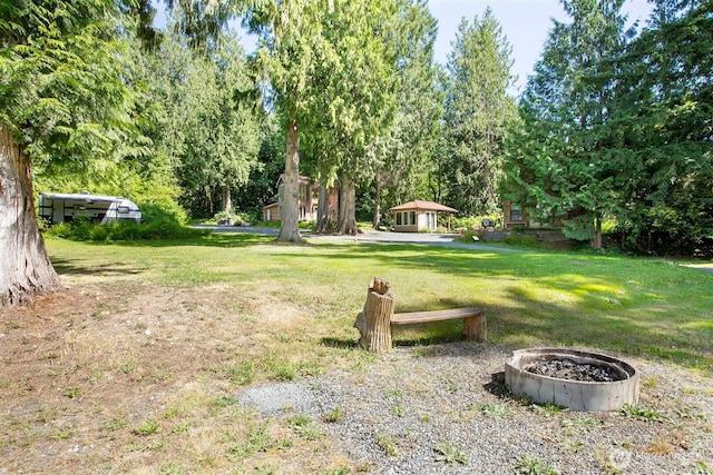 3915 Gilmore Rd, Everson, WA 98247 - view of grassy yard with view of wooded area