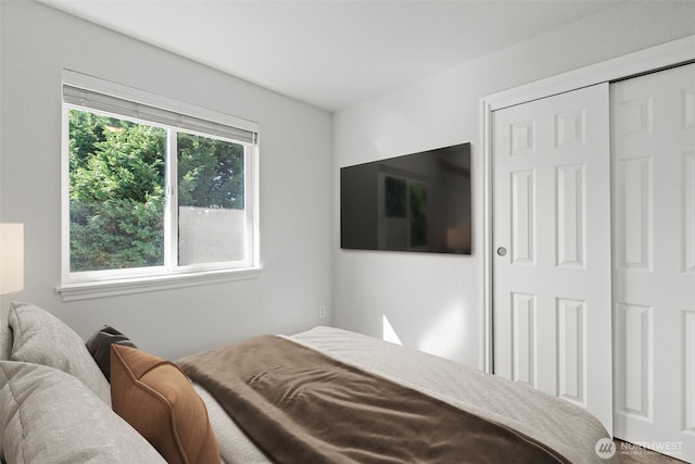 1713 S 30th St, Mount Vernon, WA 98274 - bedroom with a closet