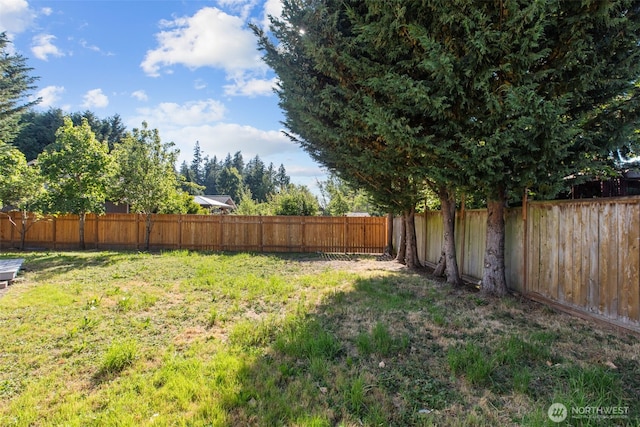 1713 S 30th St, Mount Vernon, WA 98274 - view of fenced backyard